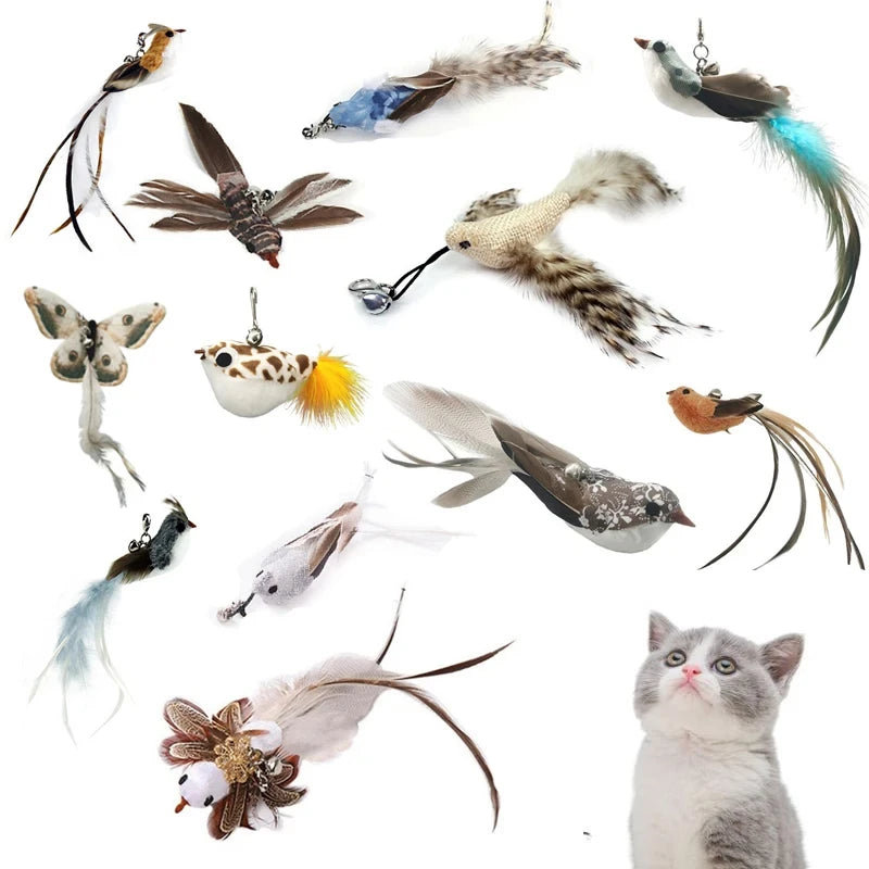 Funny Bird Feather Cat Wand With Bell Accessories Interactive Toys