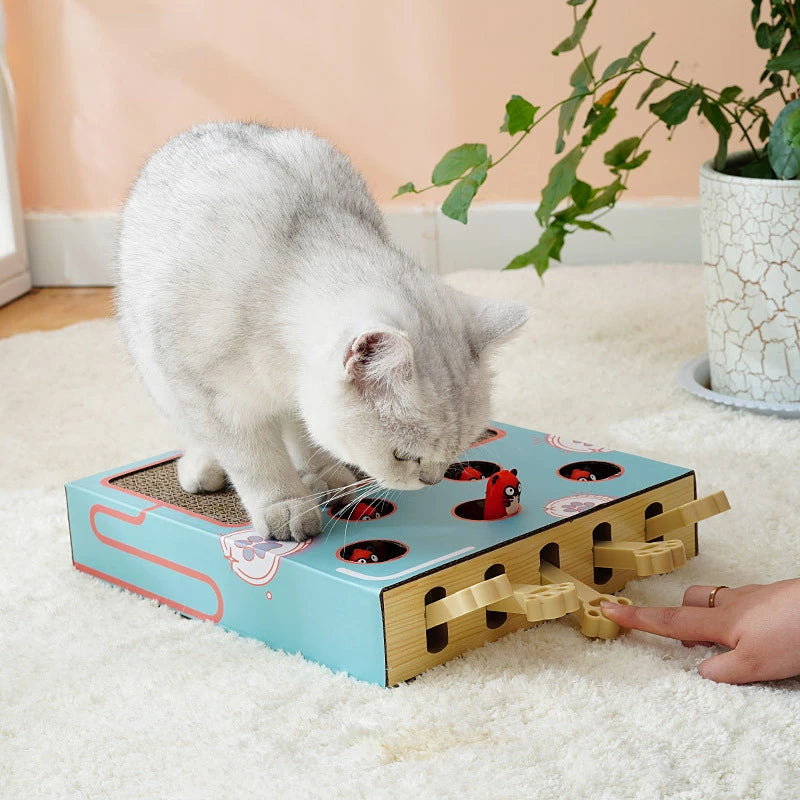 Cat Toy Whack-a-Mole Cat Scratching Board Toy