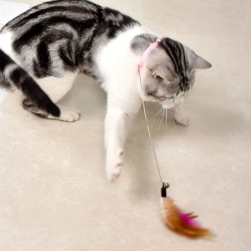 Cat interactive toys Fun feather teaser stick