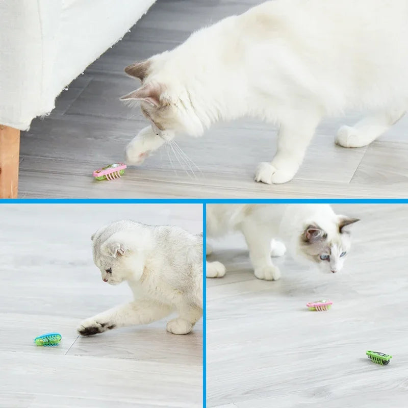 Mini Electric Bug Pet Dog Cat Toy