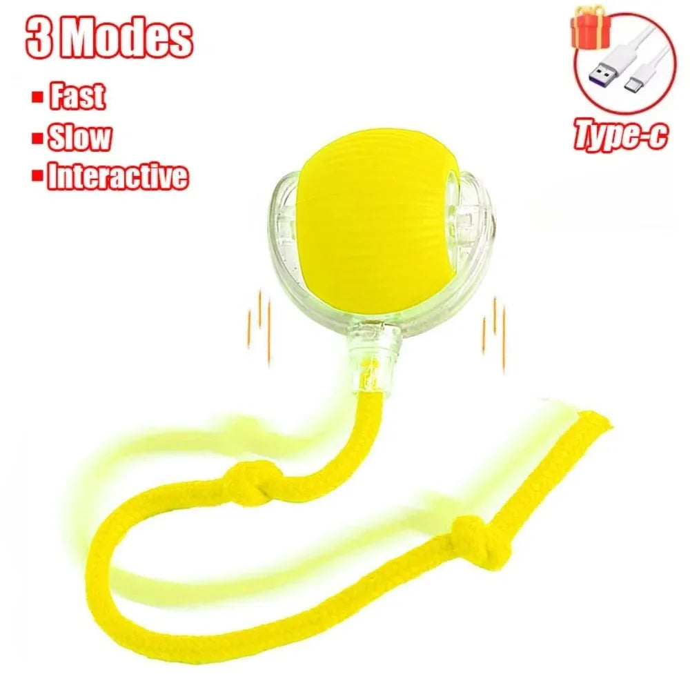 New Cat Interactive Ball Toy