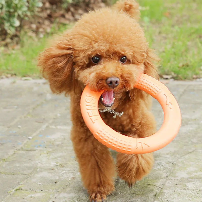 Floating Water Dog Toys
