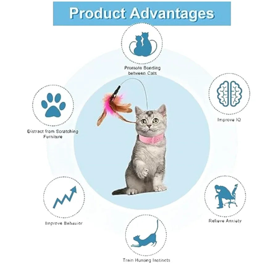 Cat Collar Toy Attached