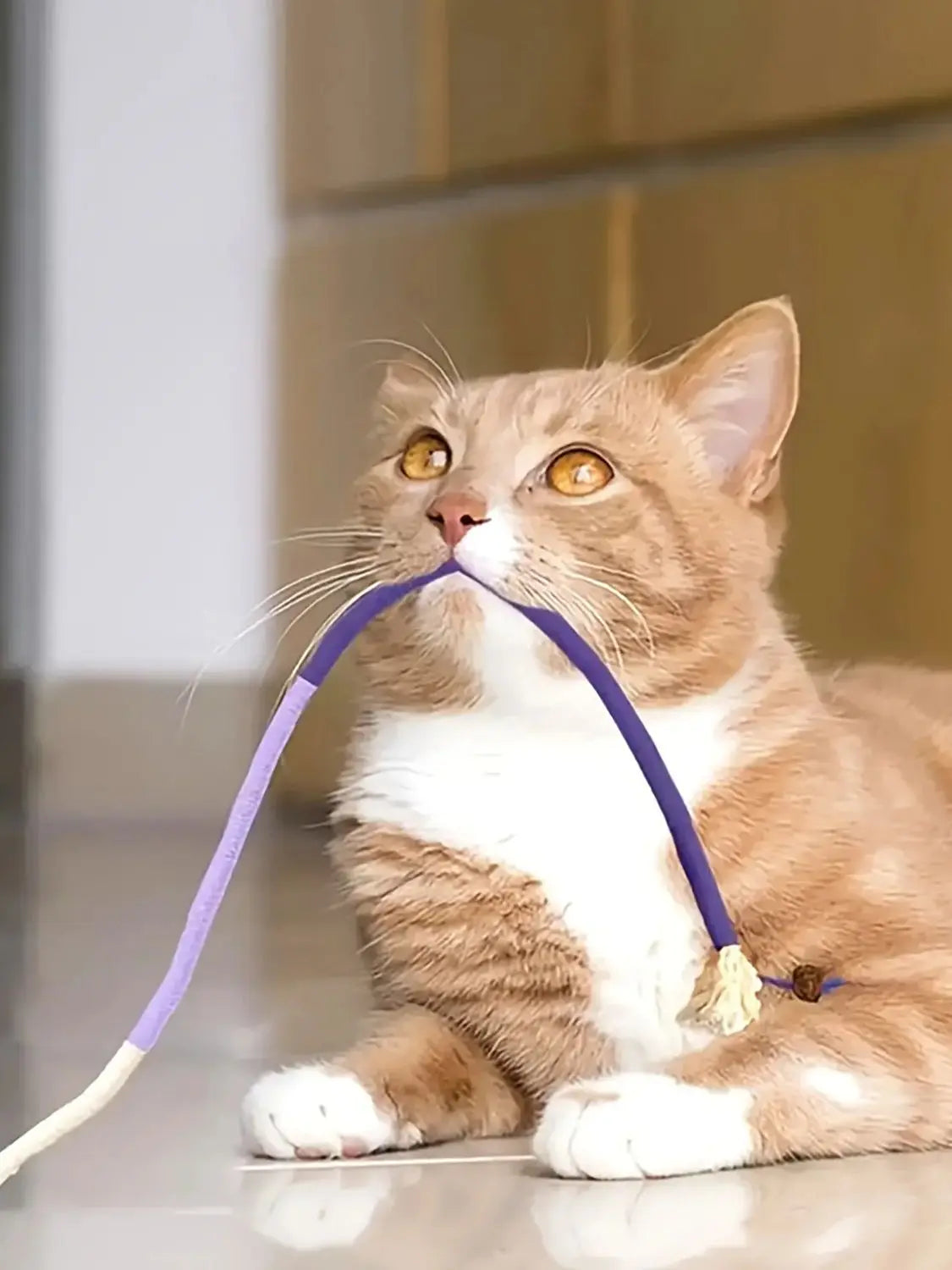 Cat Toys Chew Rope Safe Teeth Cleaning Toy