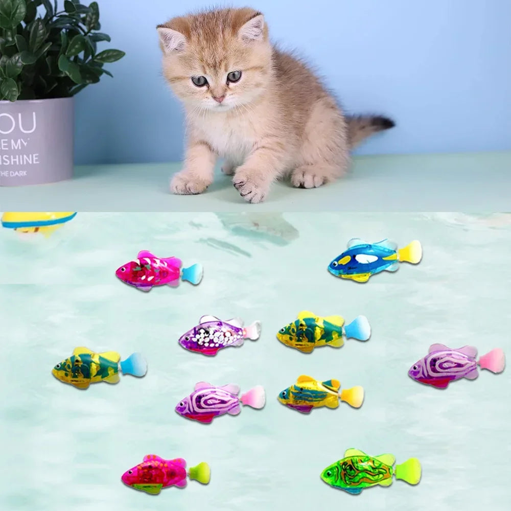Cat Interactive Toys