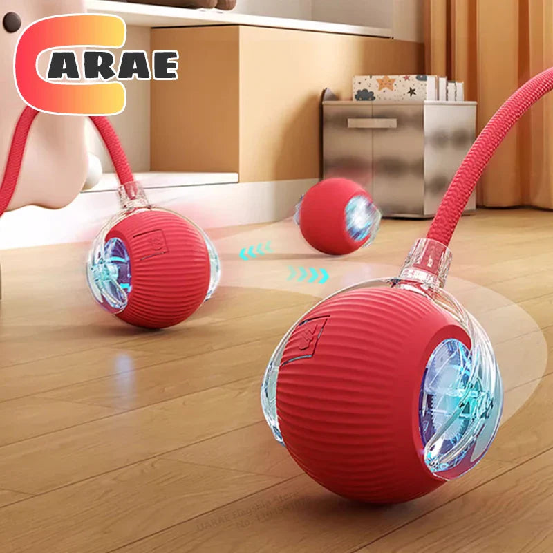 Dog Interactive Toys