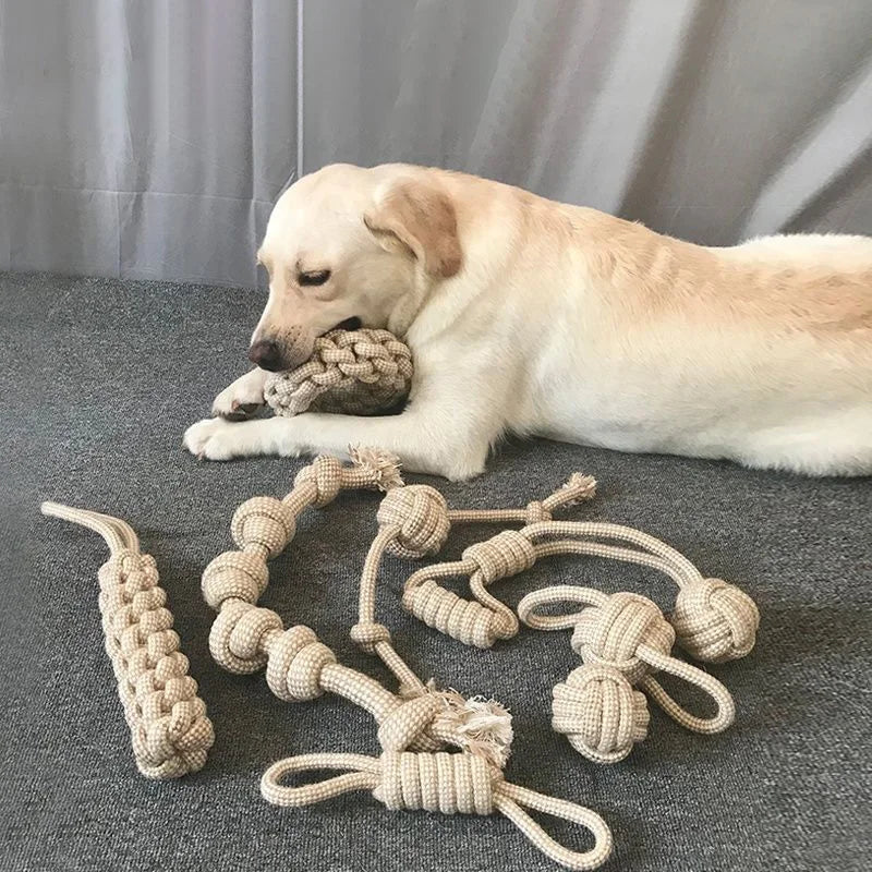 Dog Rope & Tug Toys