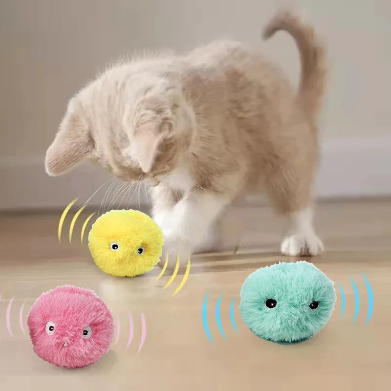 Catnip Toys