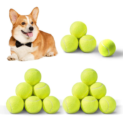 Dog Balls & Fetch Toys