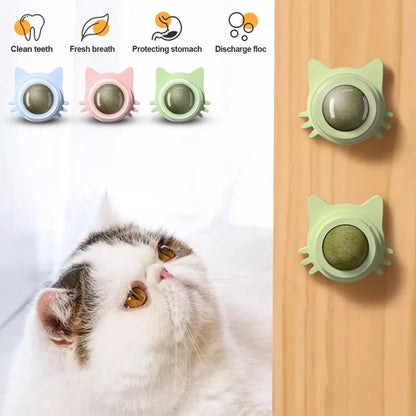 Catnip Lollipop Cat Treat Wall