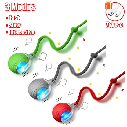 New Cat Interactive Ball Toy Automatic Rolling Ball