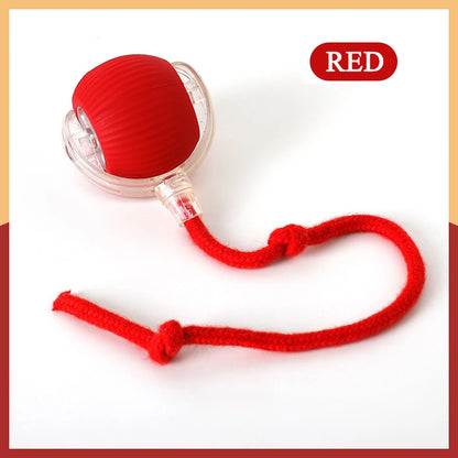 Dropshipping Interactive Cat Toys Ball