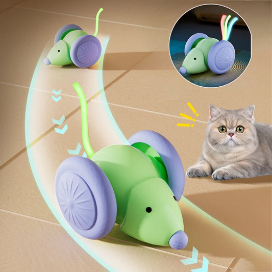 Electric Mouse Car Automatic Teaser kitten Pet Toys