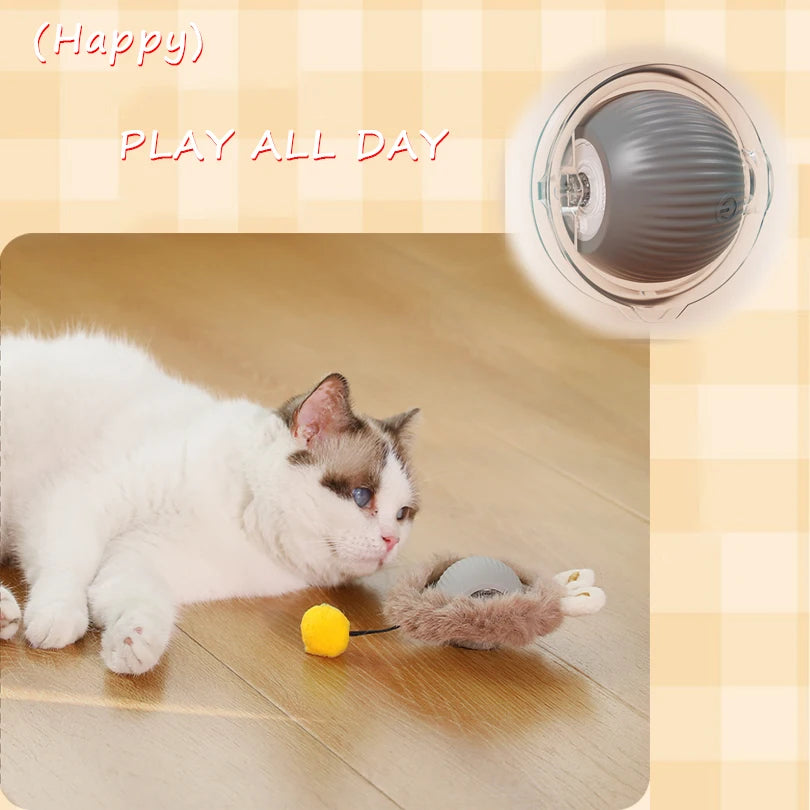 Dropshipping Interactive Cat Toys Ball