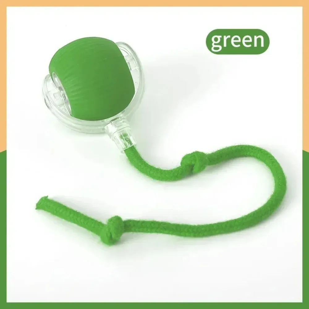New Cat Interactive Ball Toy