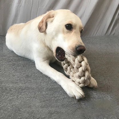 Cat Dog Knot Toy
