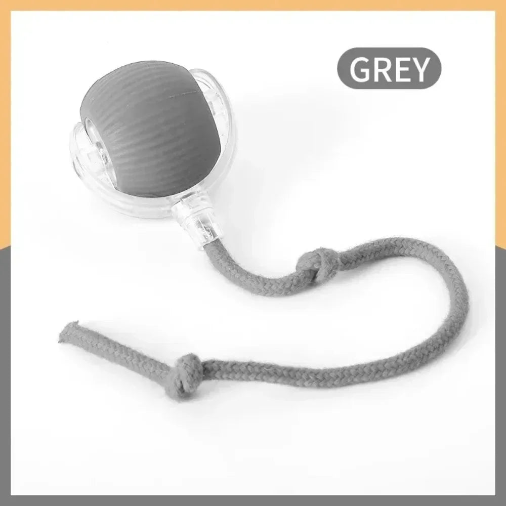 New Cat Interactive Ball Toy