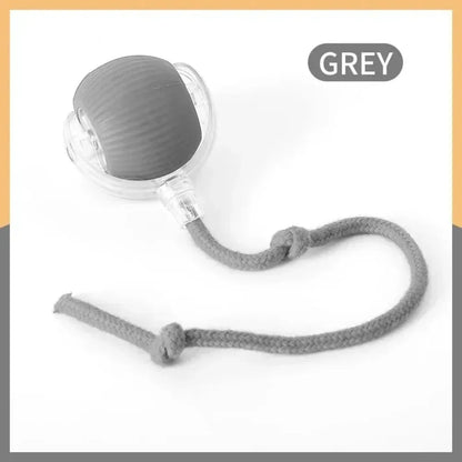 New Cat Interactive Ball Toy