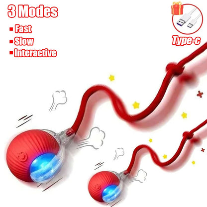 New Cat Interactive Ball Toy Automatic Rolling Ball