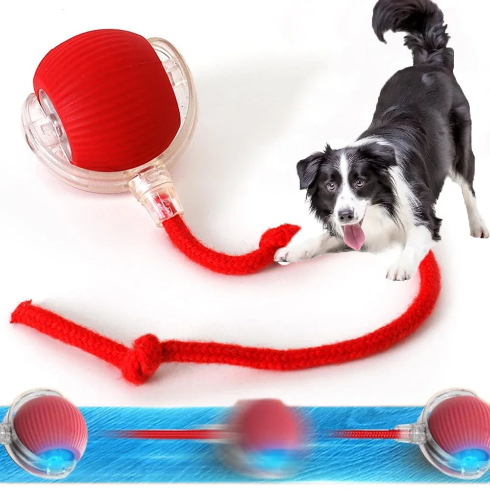 2025 Hot Electric Dog Ball Toys