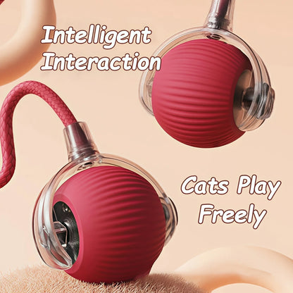 New Cat Interactive Ball Toy Automatic Rolling Ball