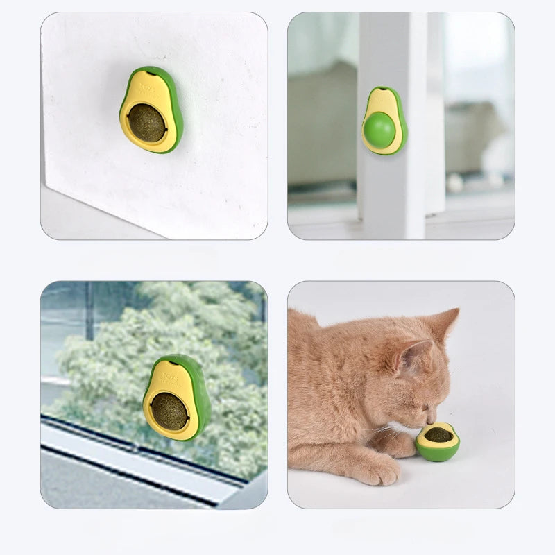 Cats Teeth Cleaning Catnip Ball Toys