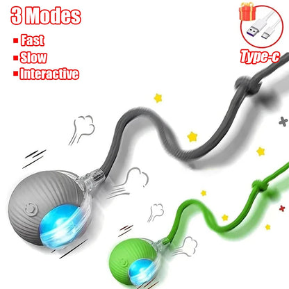 New Cat Interactive Ball Toy Automatic Rolling Ball