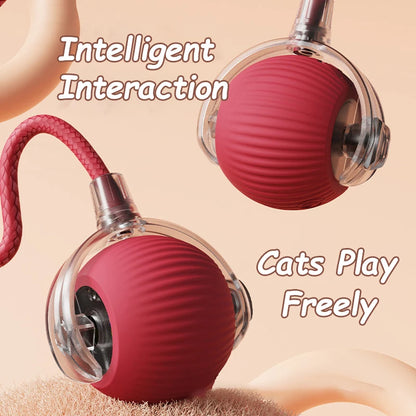 2Pcs Cat Interactive Ball Toys Automatic Rolling Ball