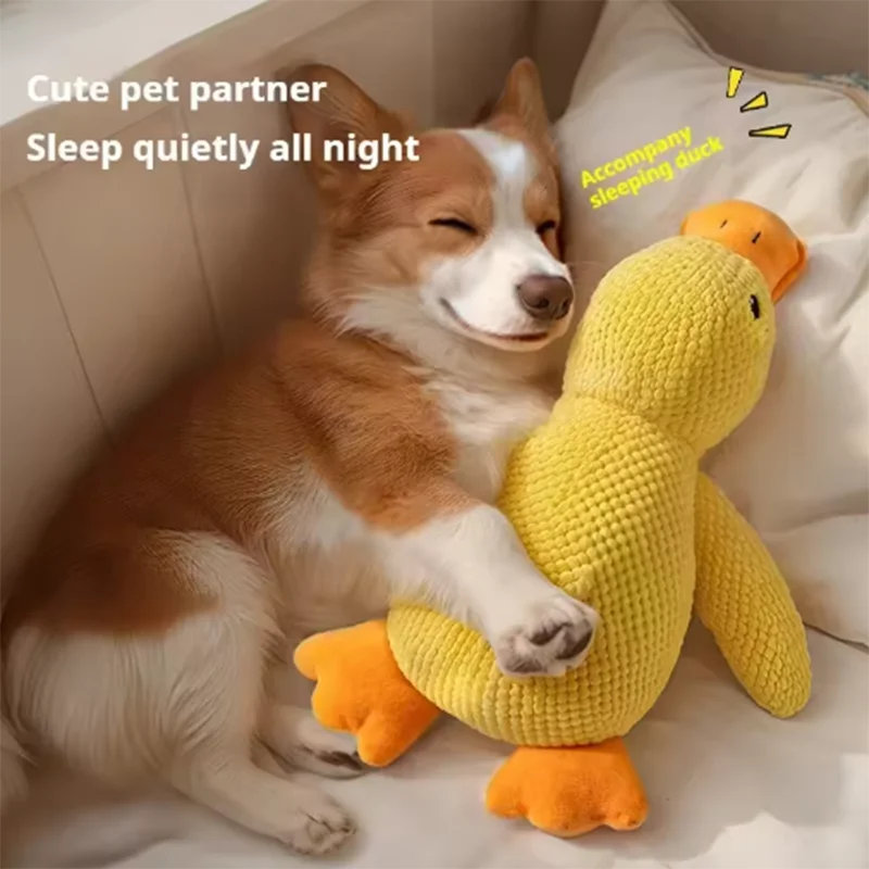 Dog Toy Stomping Duck