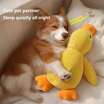 Dog Toy Stomping Duck