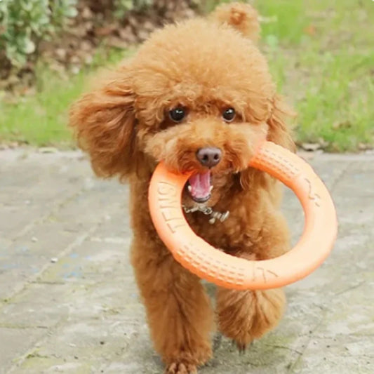 Orange Dog Toys Pet Flying Disk Training Ring