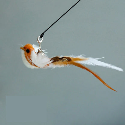 Funny Bird Feather Cat Wand With Bell Accessories Interactive Toys
