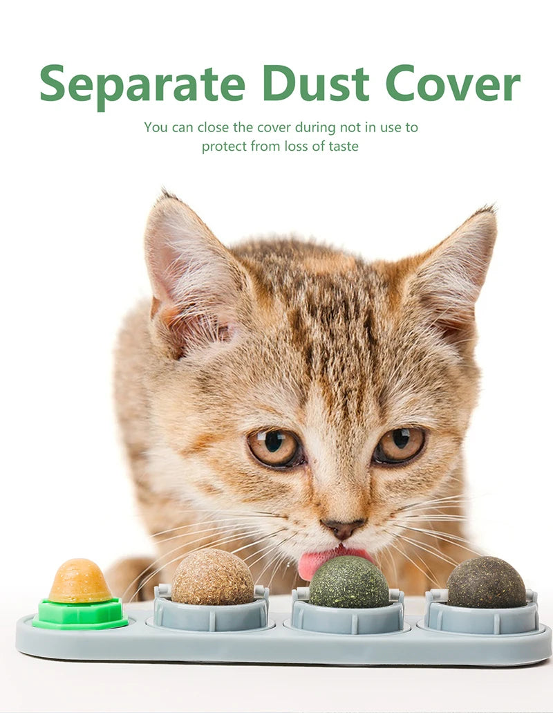 Catnip Toys Silvervine Balls