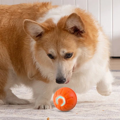 Automatic Moving Dog Toy Ball
