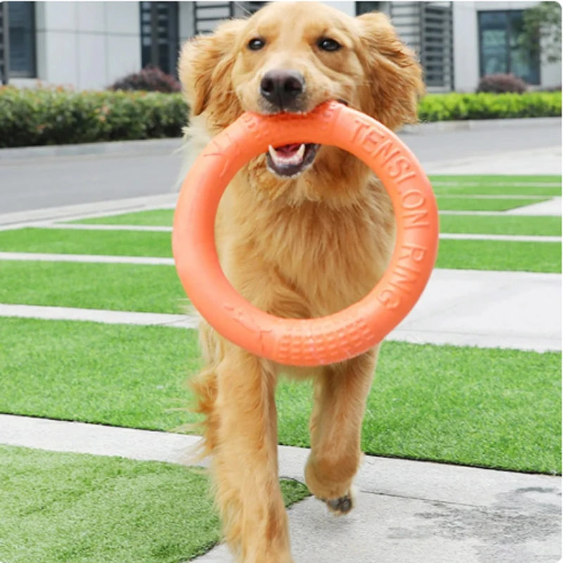 Orange Dog Toys Pet Flying Disk Training Ring