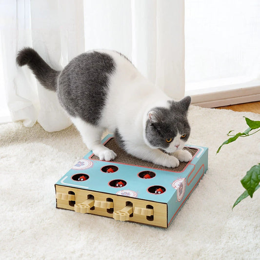 Cat Toy Whack-a-Mole Cat Scratching Board Toy