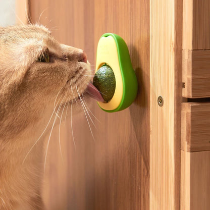 Cats Teeth Cleaning Catnip Ball Toys