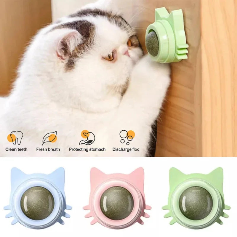 Catnip Lollipop Cat Treat Wall