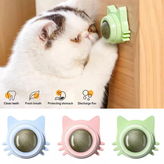 Catnip Lollipop Cat Treat Wall