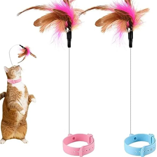 Cat Collar Toy Attached