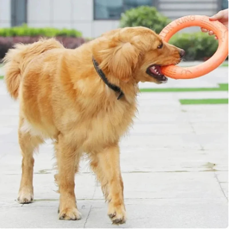 Orange Dog Toys Pet Flying Disk Training Ring
