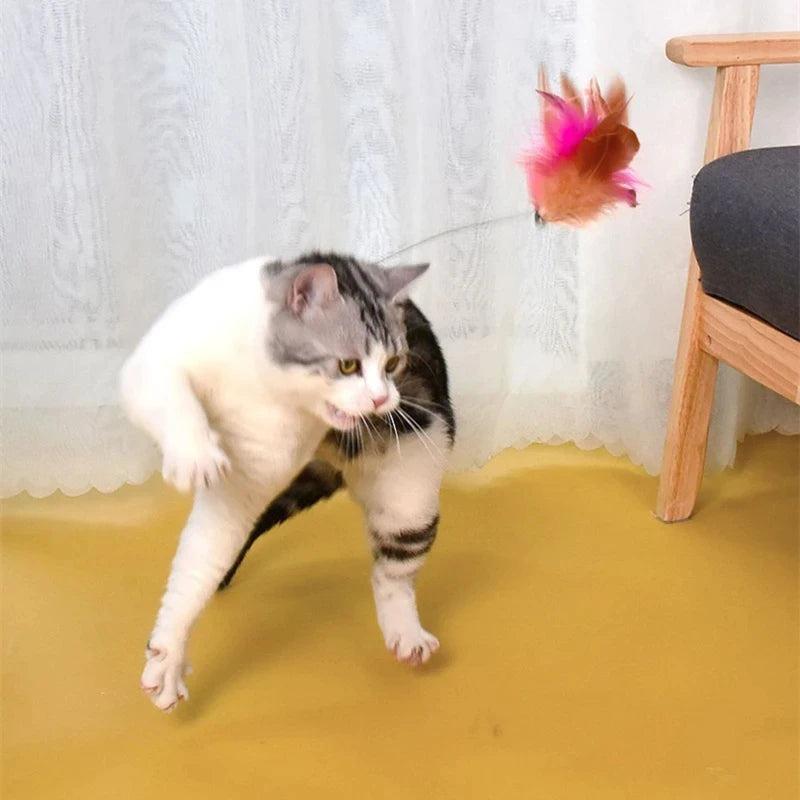 Cat interactive toys Fun feather teaser stick