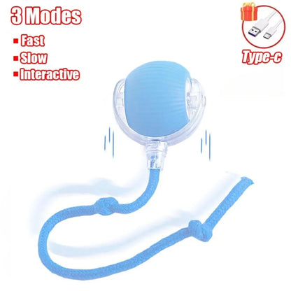 New Cat Interactive Ball Toy