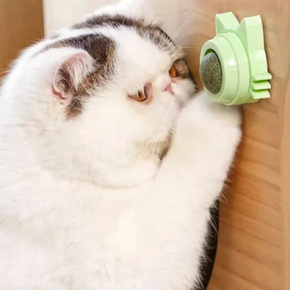 Catnip Lollipop Cat Treat Wall