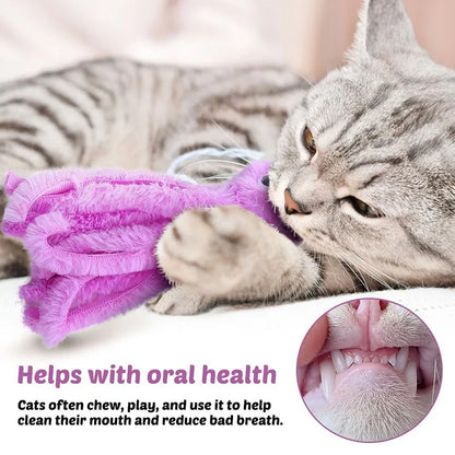 Cute Octopus Cat Toys