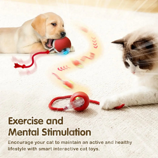 Cat Interactive Ball Toy, Automatic Rolling Ball with Tail