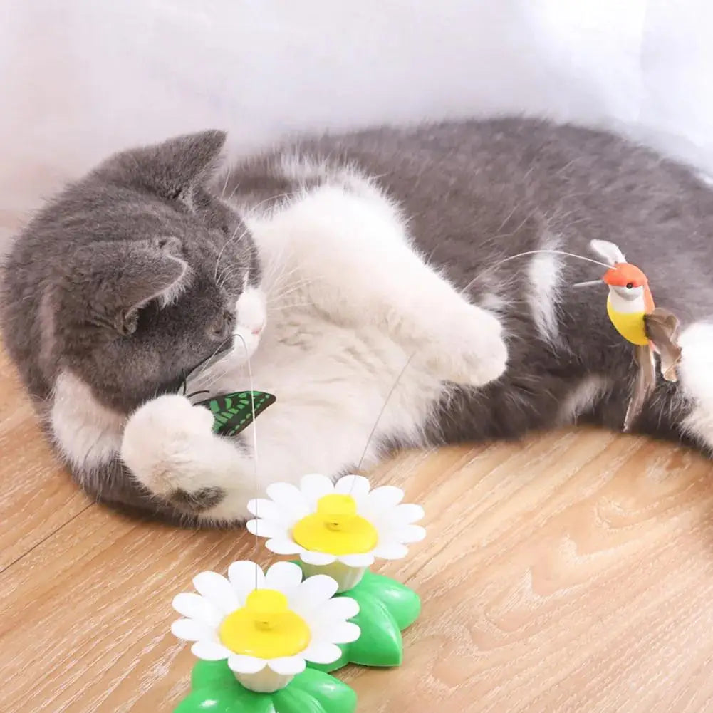 Electric Butterfly Cat Toy