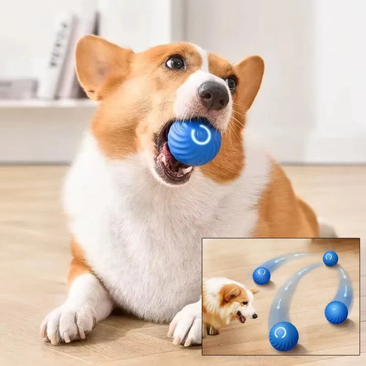 Automatic Moving Dog Toy Ball