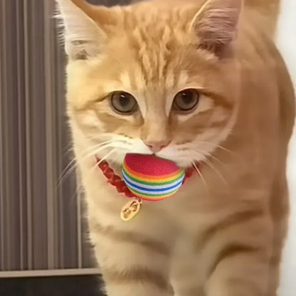 Pet Toy Balls Interactive Rainbow EVA Balls Cat Dog Training Toys