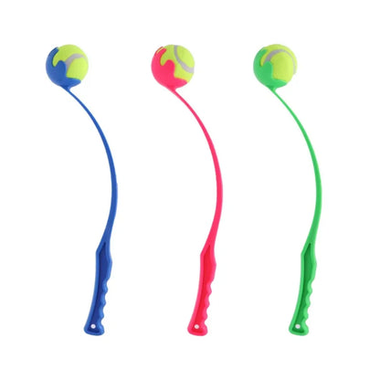 Dog And Cat Interactive Ball